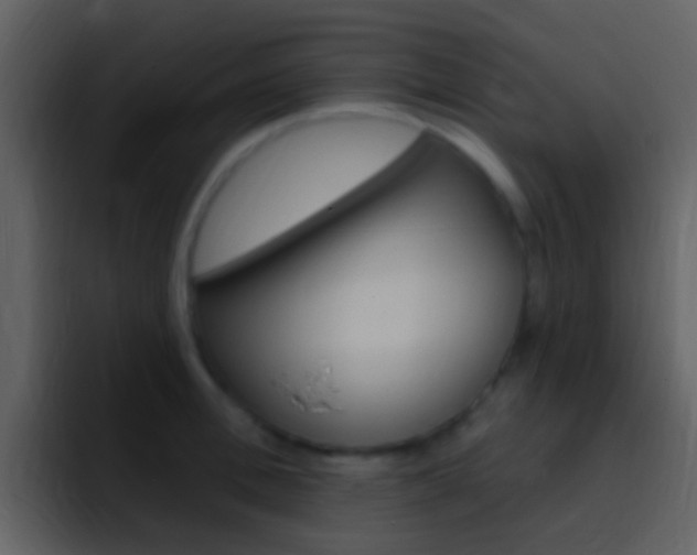 X0000096990996200802080916