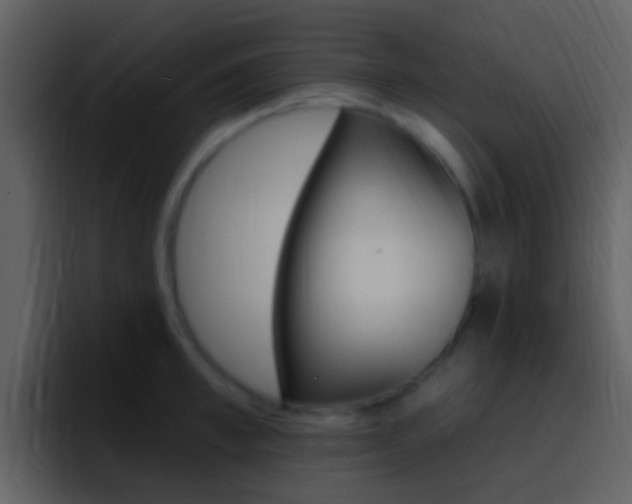X0000096990997200802080916