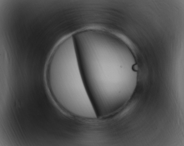 X0000096990999200802080916