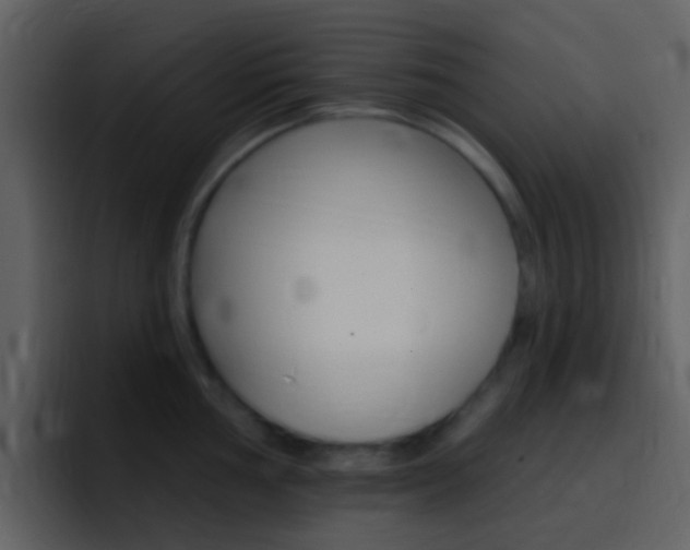 X0000096991002200802080916
