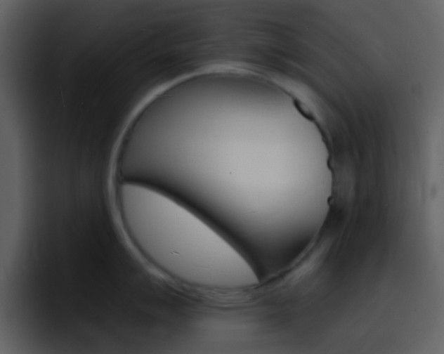 X0000096991007200802080915