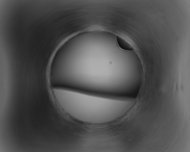 X0000096991008200802080915