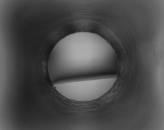 X0000096991010200802080915