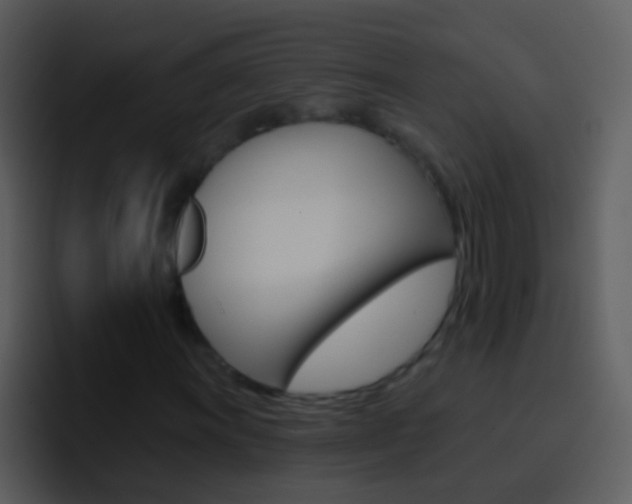 X0000096991011200802080915