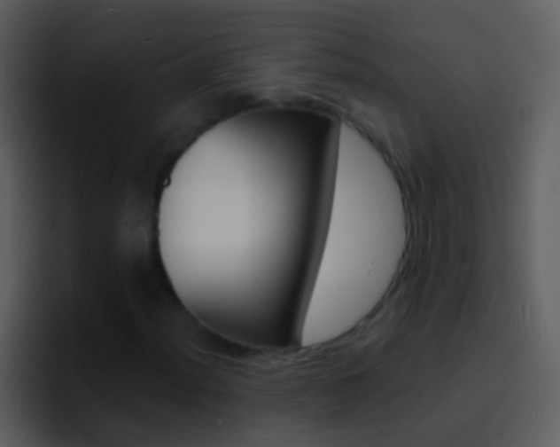 X0000096991012200802080915