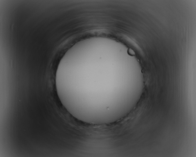 X0000096991015200802080915