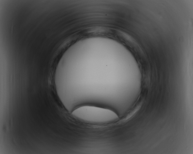 X0000096991017200802080915