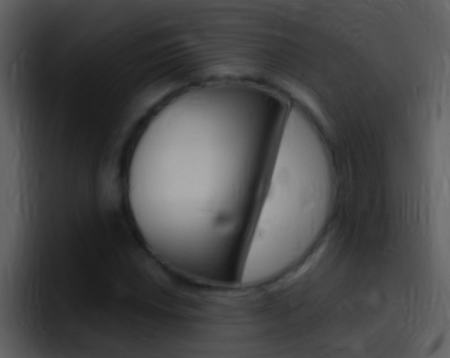 X0000096991018200802080915