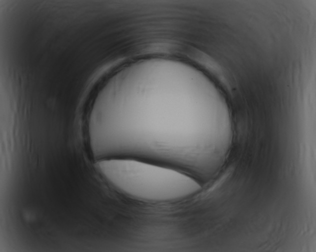 X0000096991019200802080915