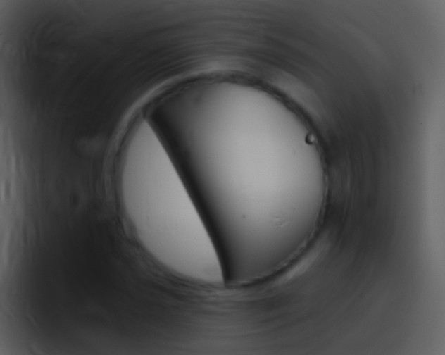 X0000096991021200802080915
