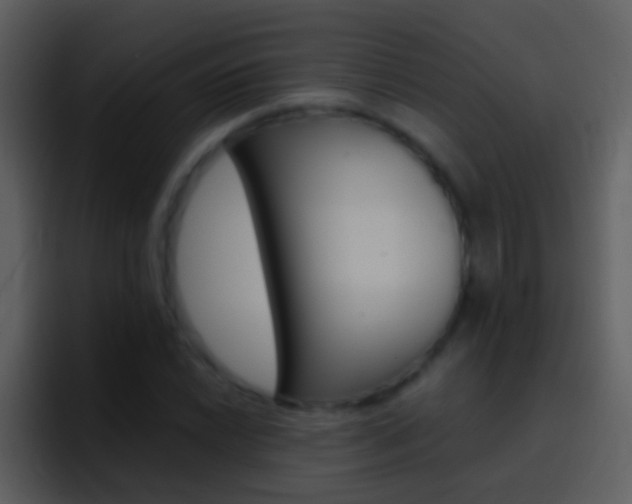 X0000096991022200802080915