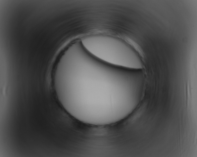 X0000096991023200802080915