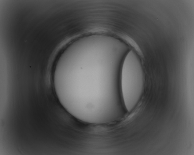 X0000096991027200802080915