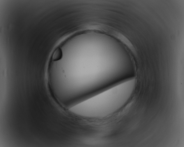 X0000096991028200802080915