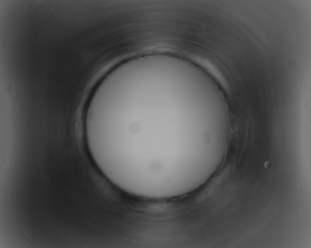 X0000096991031200802080915