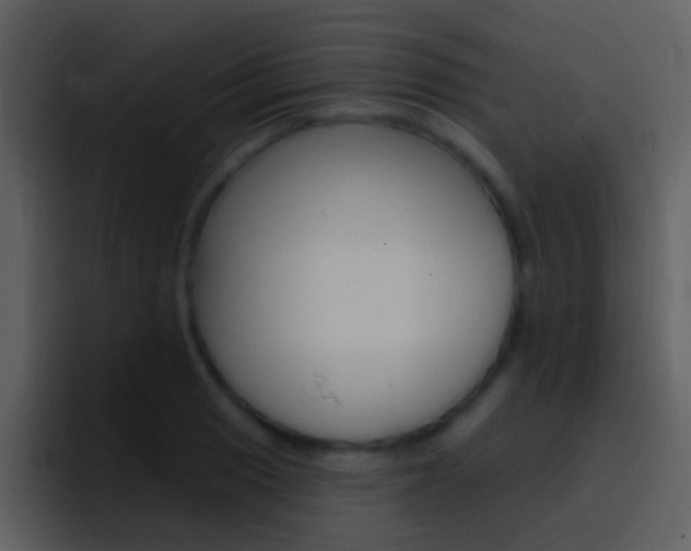 X0000096991033200802080915