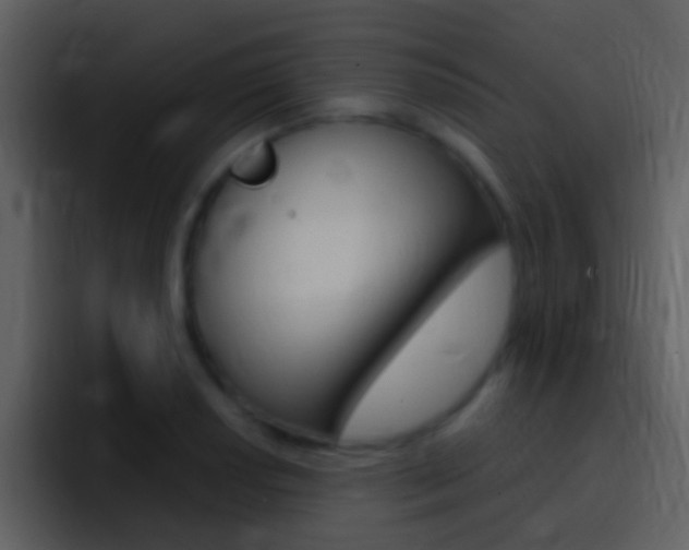 X0000096991034200802080915