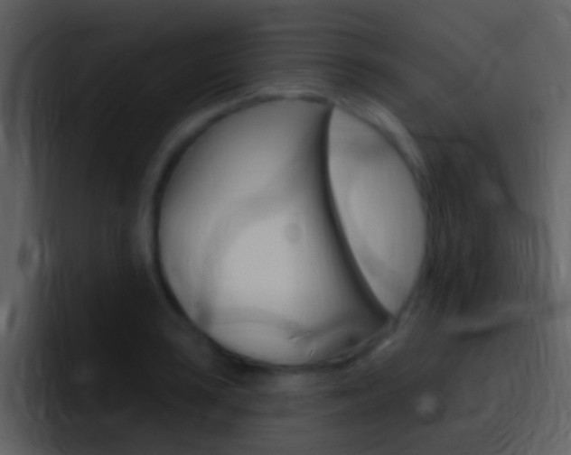 X0000096991035200802080915