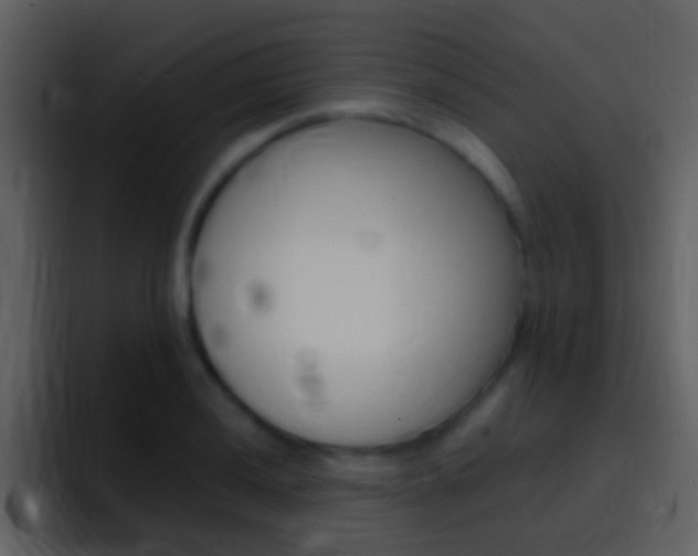 X0000096991036200802080915