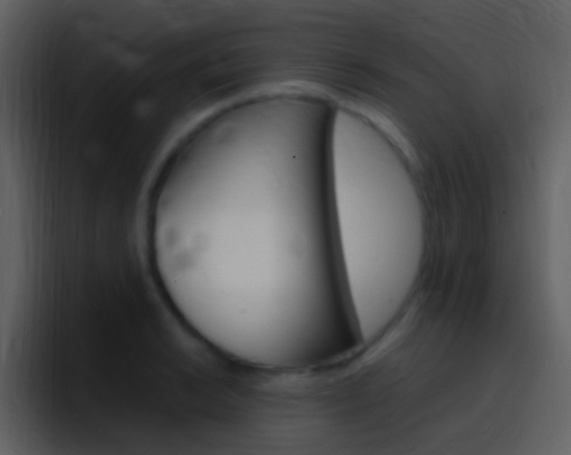 X0000096991038200802080915