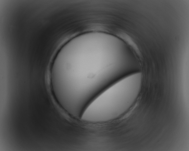 X0000096991040200802080915
