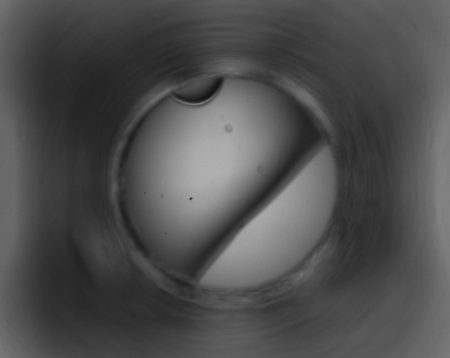X0000096991042200802080915