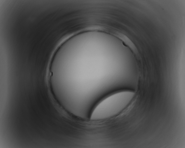 X0000096991044200802080915