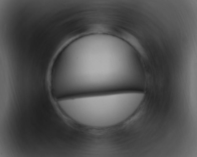 X0000096991046200802080915