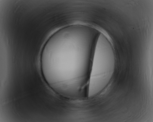 X0000096991048200802080915