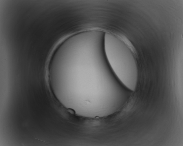 X0000096991051200802080915