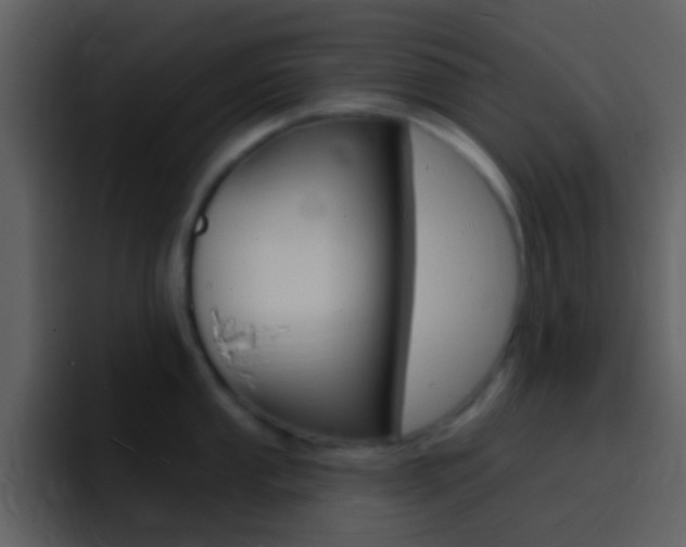 X0000096991053200802080915