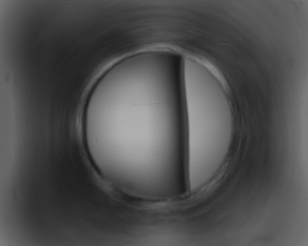 X0000096991054200802080915