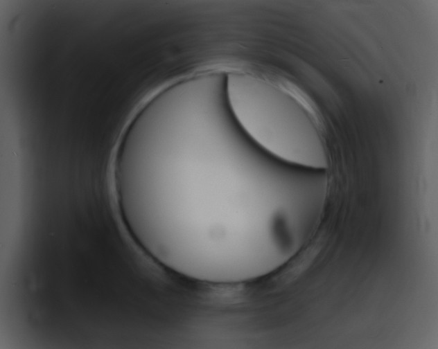 X0000096991055200802080915