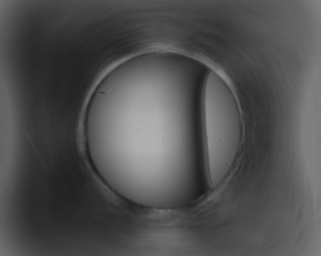 X0000096991056200802080915