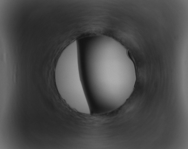 X0000096991057200802080915