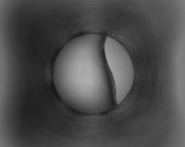 X0000096991058200802080915