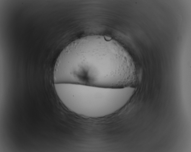 X0000096991059200802080915