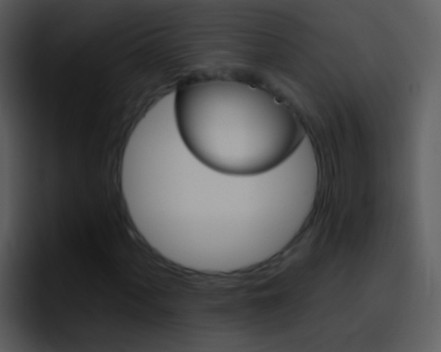 X0000096991060200802080915