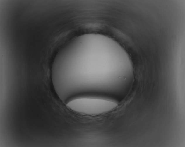 X0000096991061200802080915