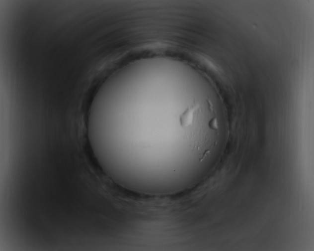 X0000096991062200802080915