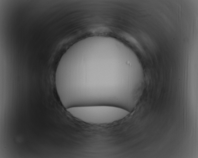 X0000096991063200802080915