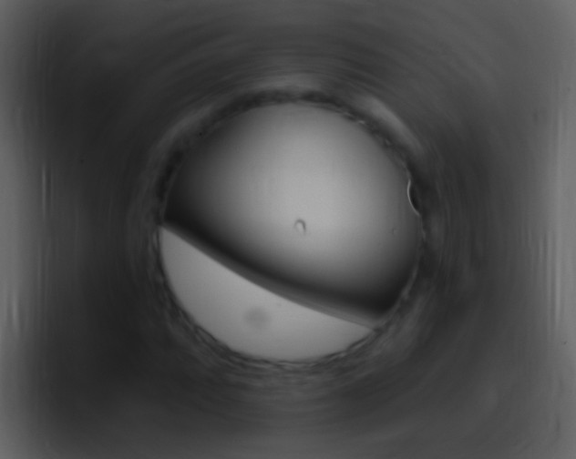 X0000096991064200802080915