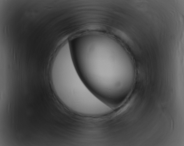 X0000096991065200802080915