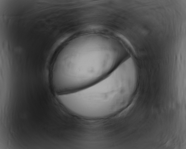X0000096991066200802080915
