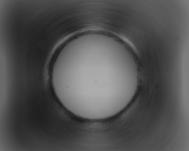 X0000096991070200802080915