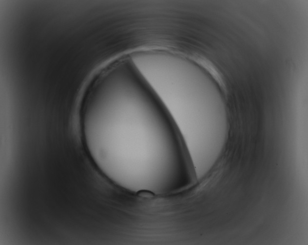 X0000096991072200802080915