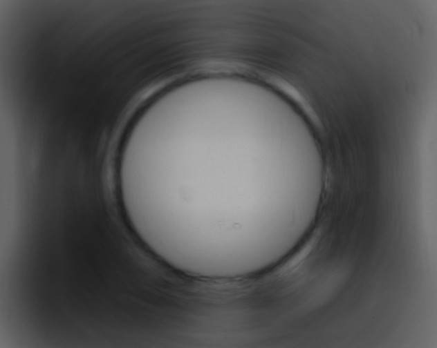 X0000096991074200802080915