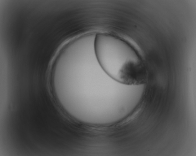 X0000096991075200802080915