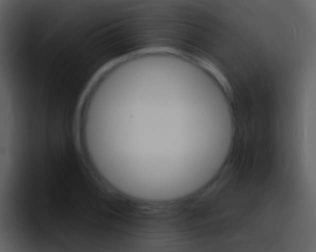 X0000096991076200802080915