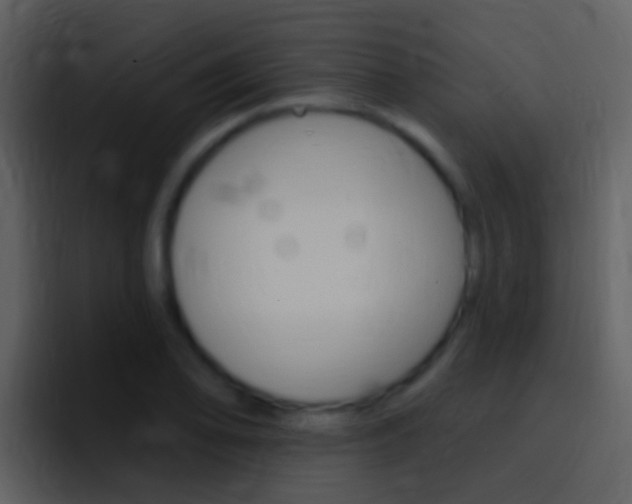 X0000096991078200802080915